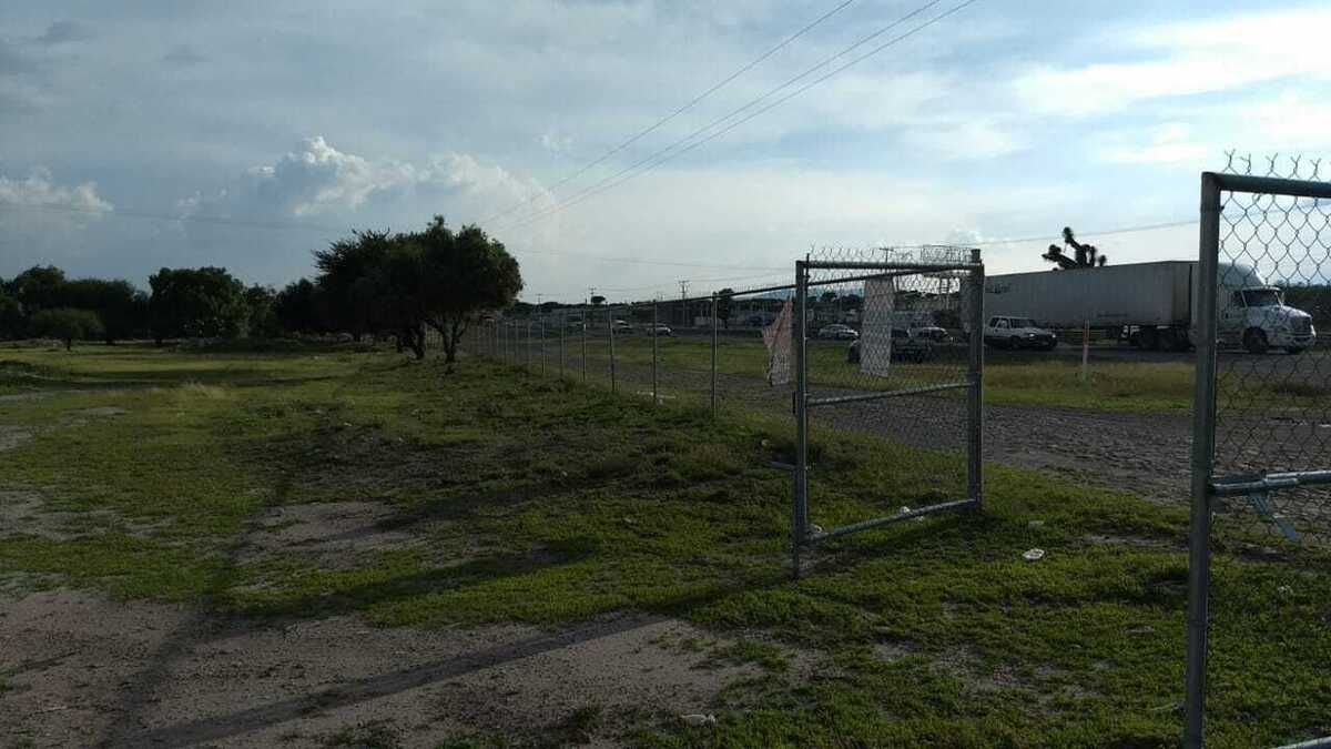 Imagen 7 de 7