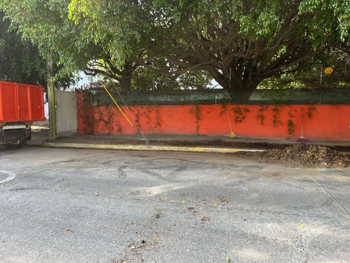 3 de 8