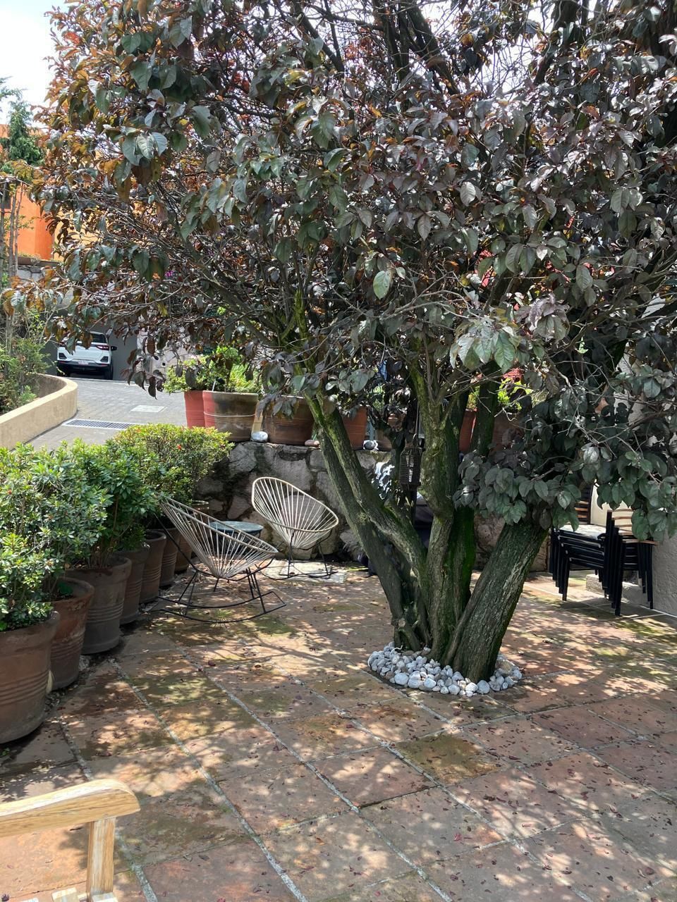 18 de 20: Terraza