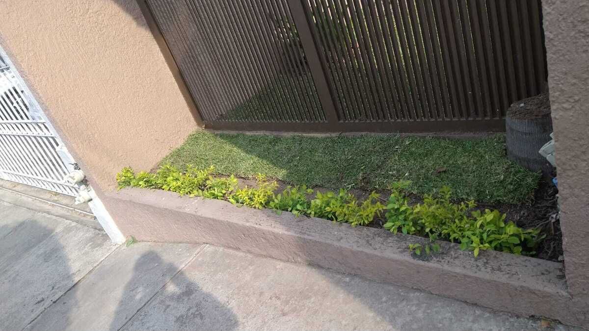 3 de 26: Pequeña área verde en fachada