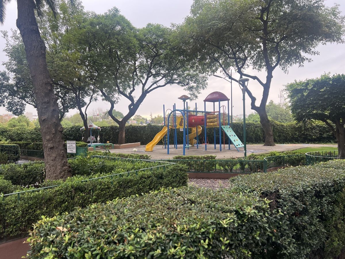 11 de 12