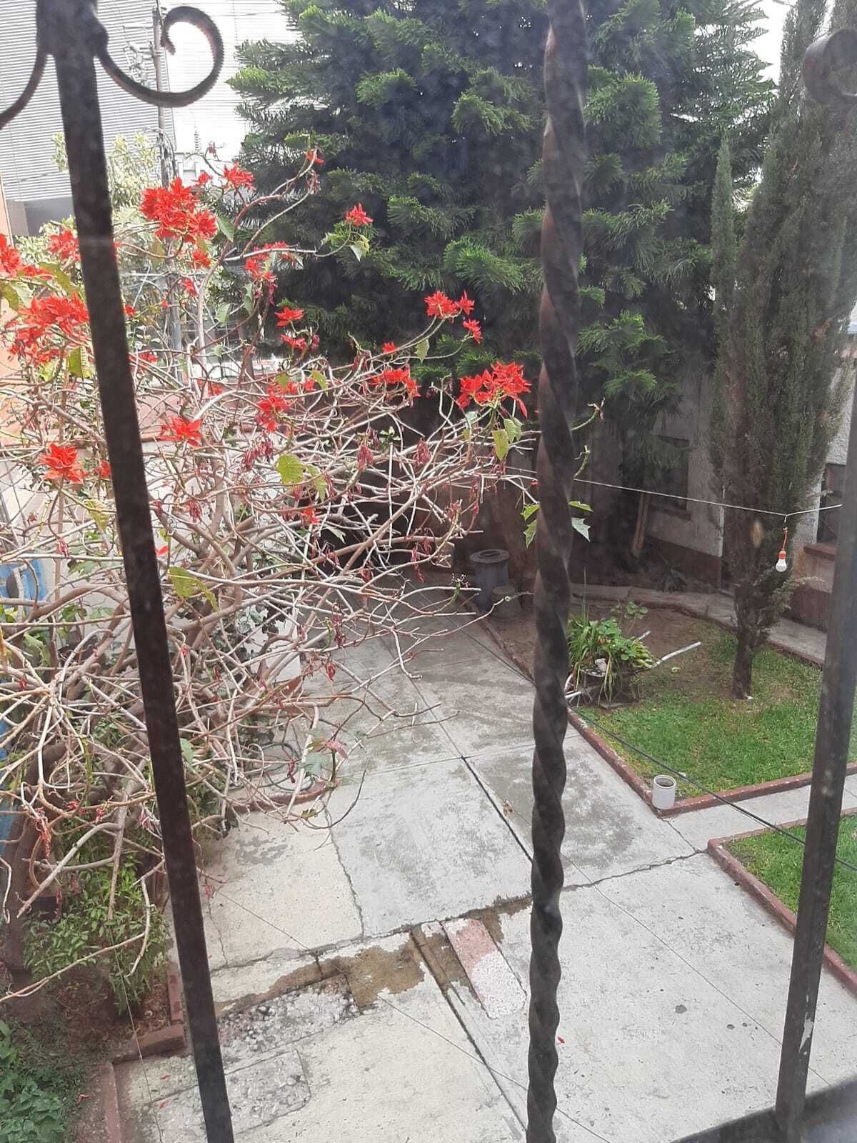 9 de 16