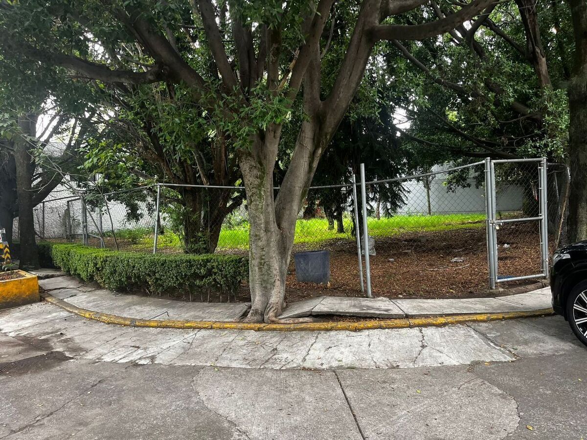3 de 19