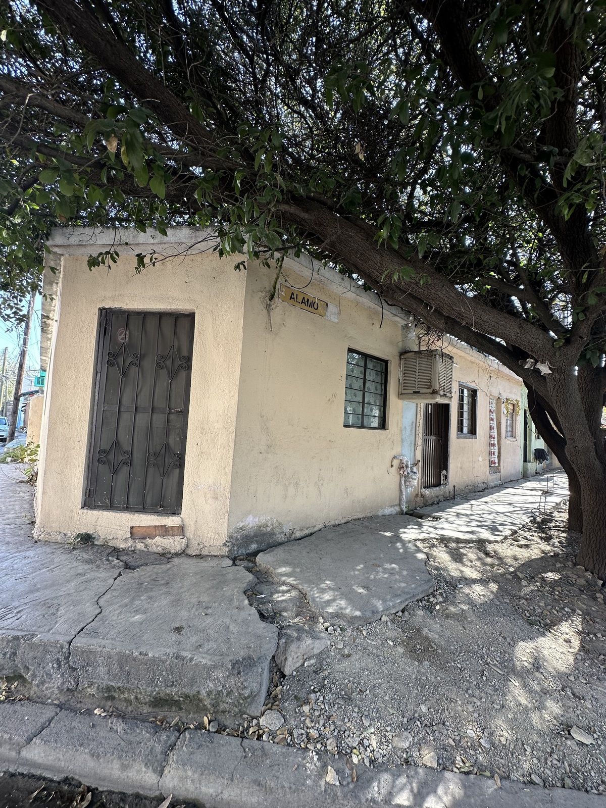 5 de 8