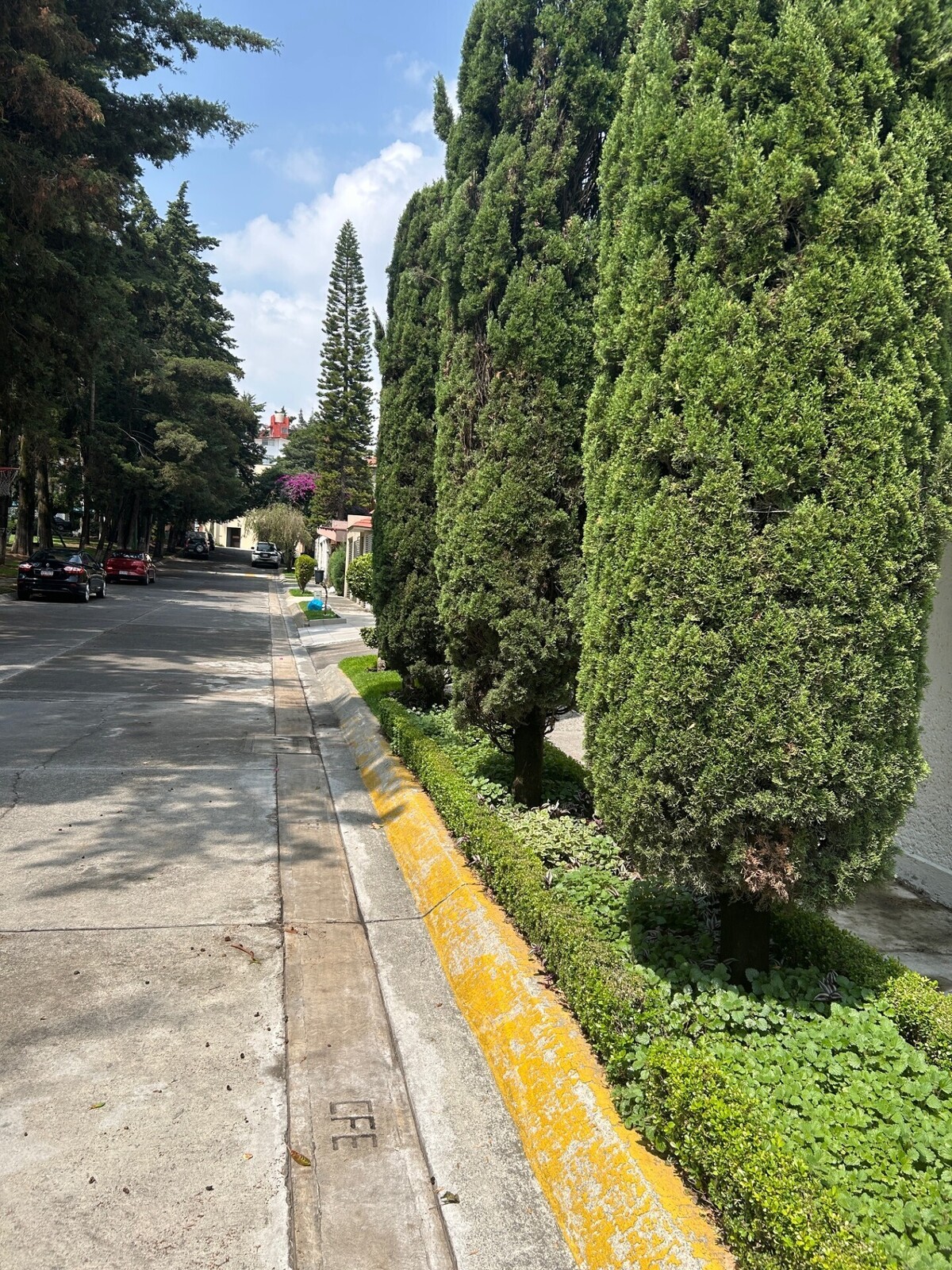 6 de 24