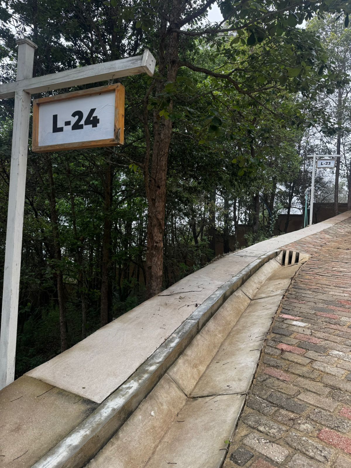 7 de 21