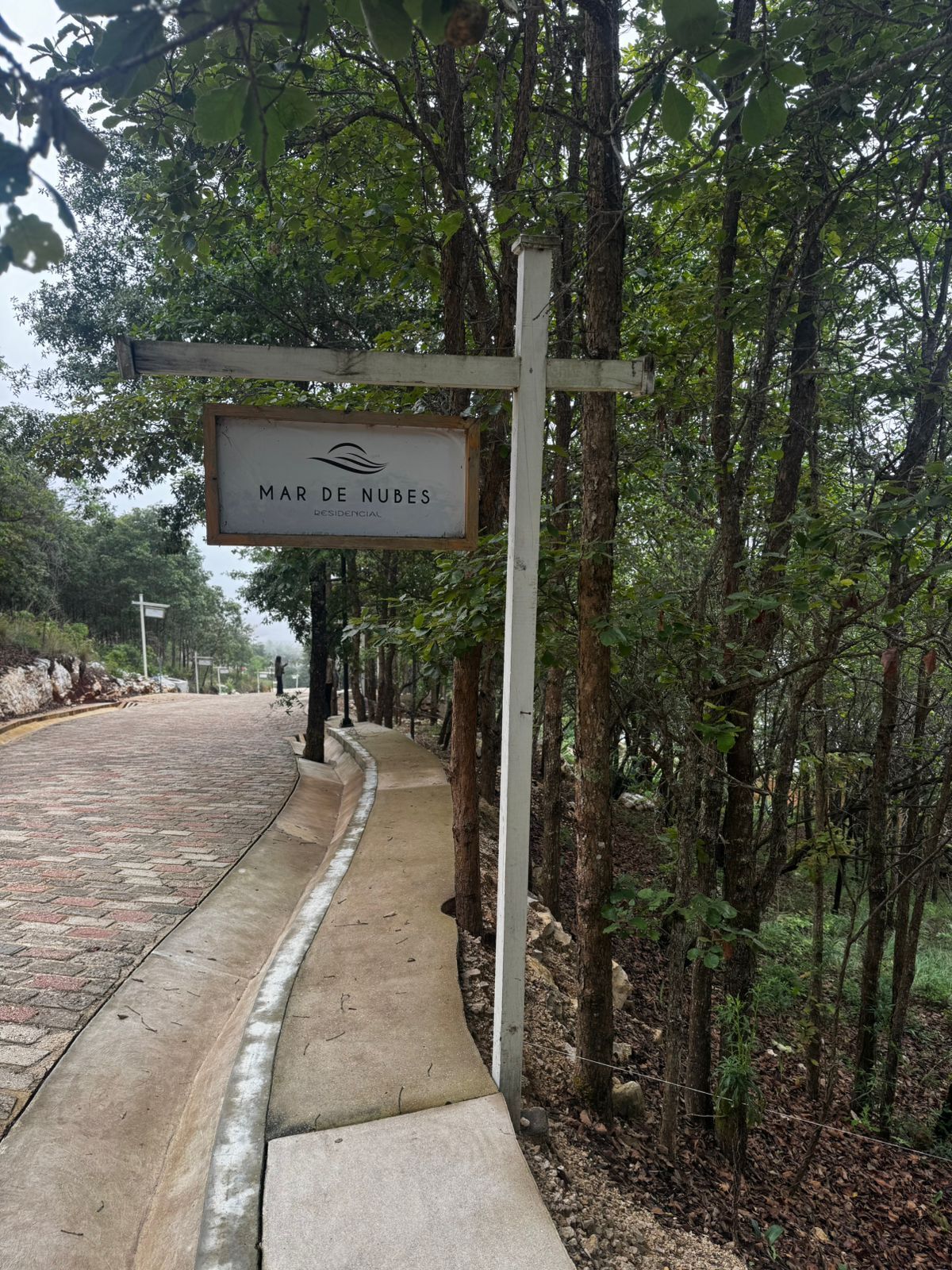 2 de 21