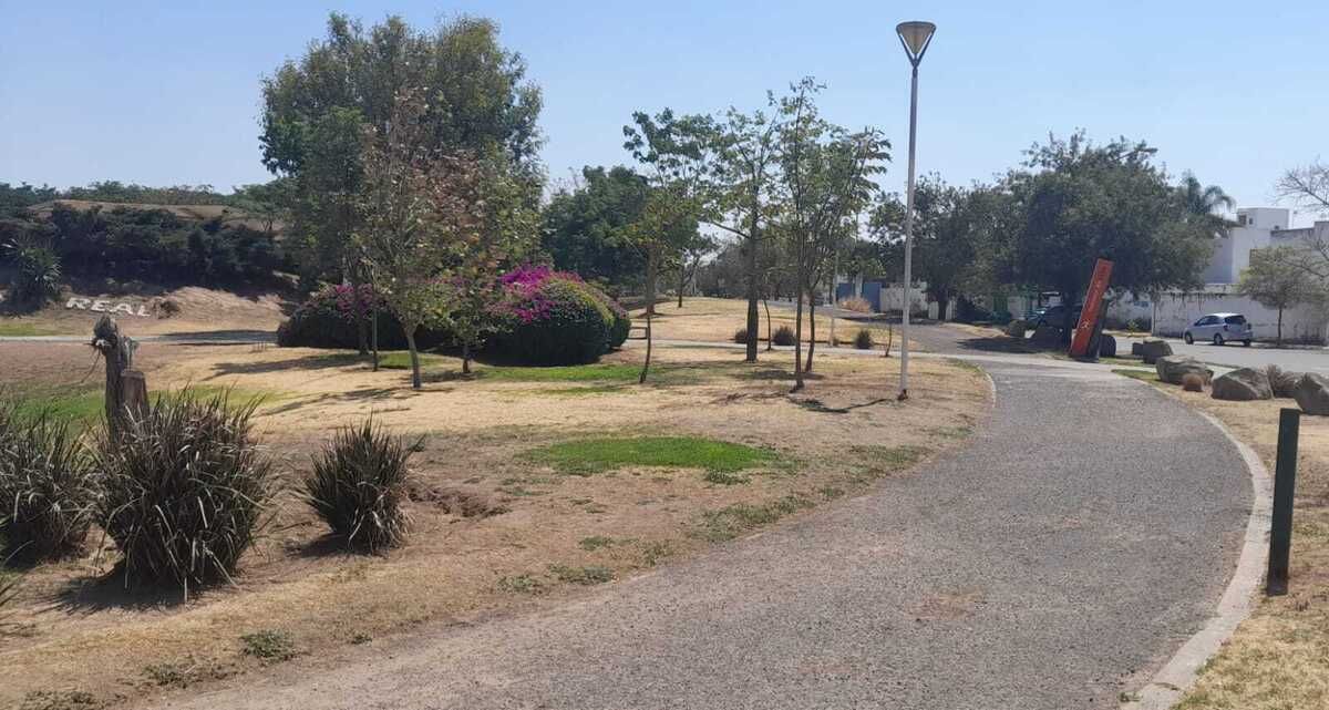 4 de 29
