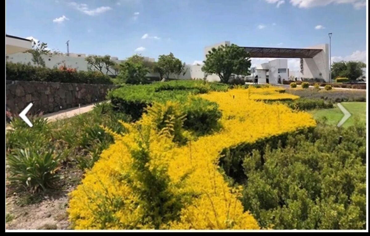 4 de 7