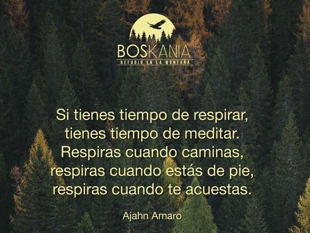 3 de 11