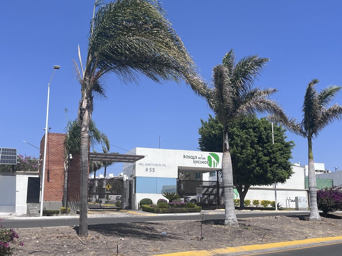 24 de 24