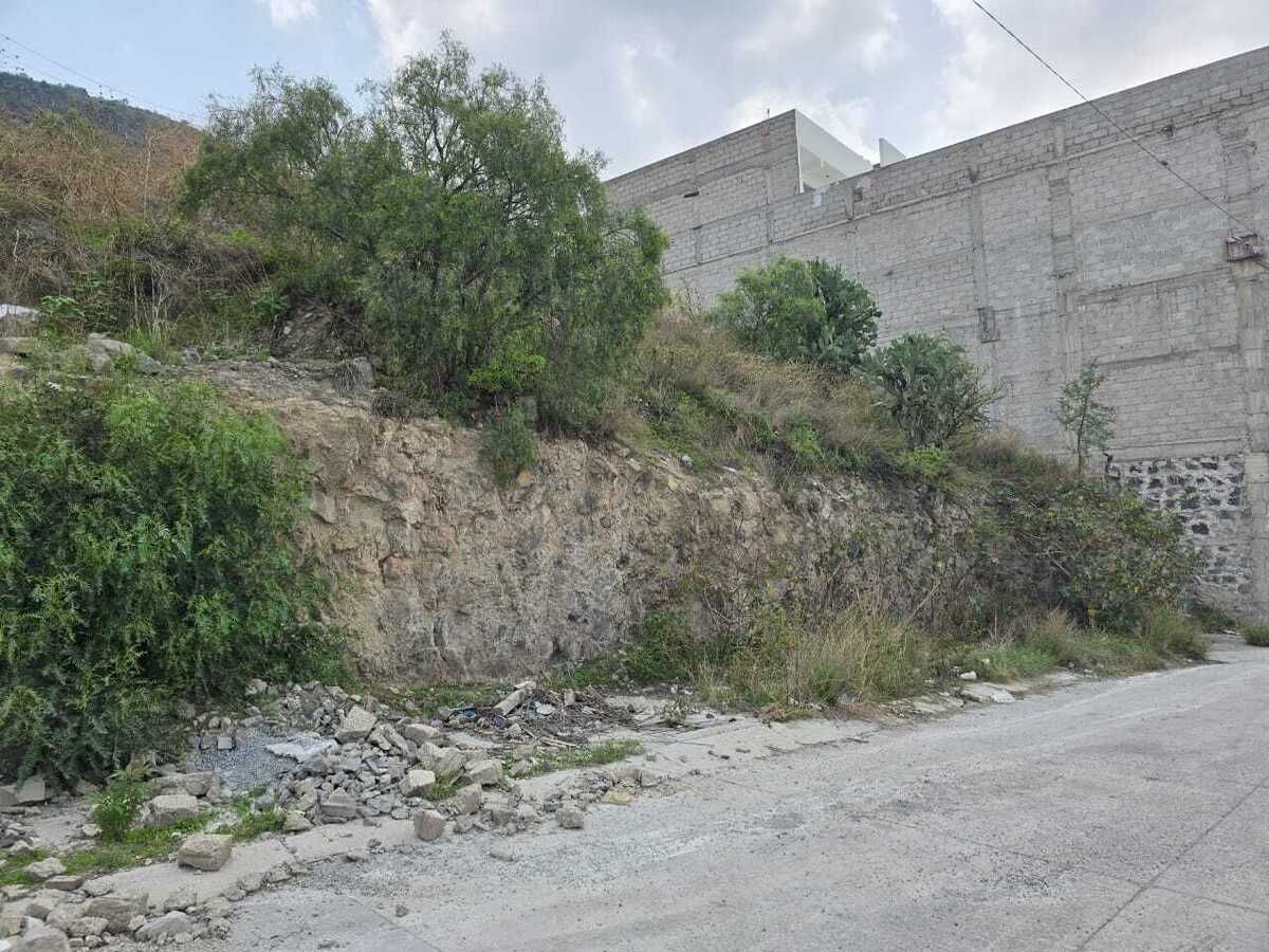 5 de 8