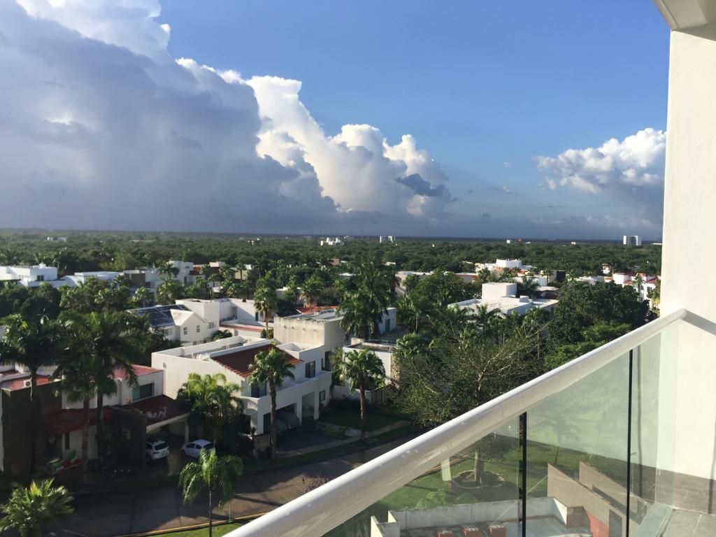 5 de 17