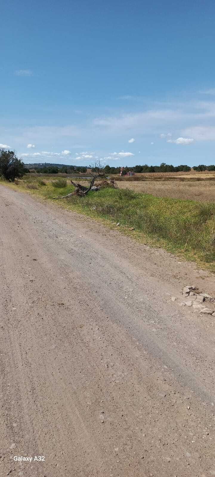 Imagen 6 de 7