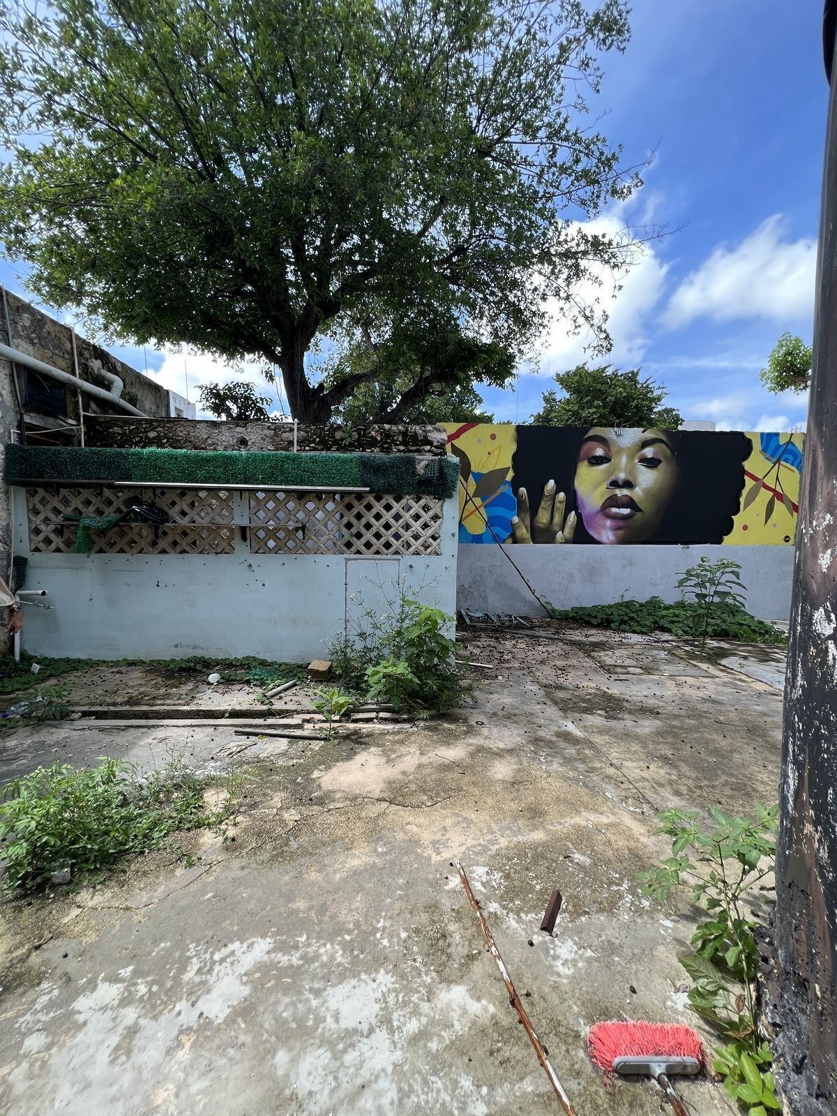 7 of 14