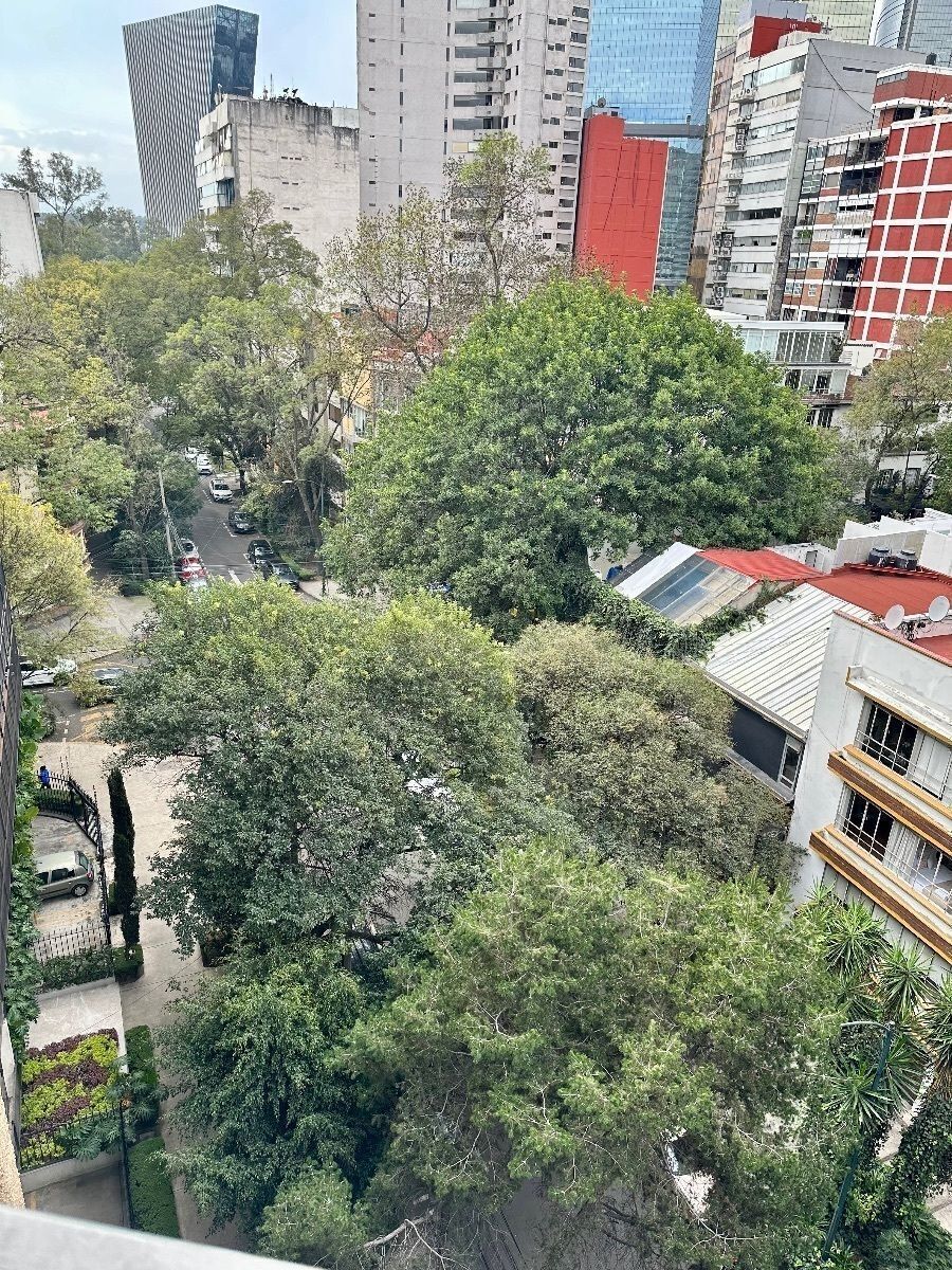 5 de 24