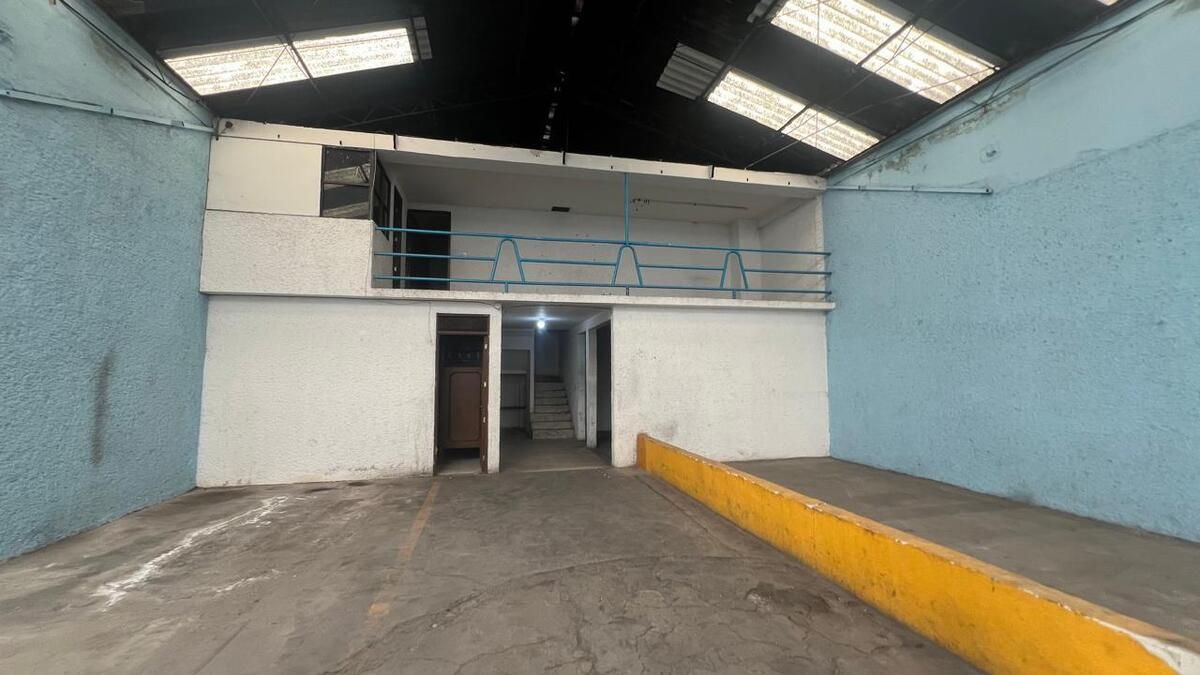 3 de 12