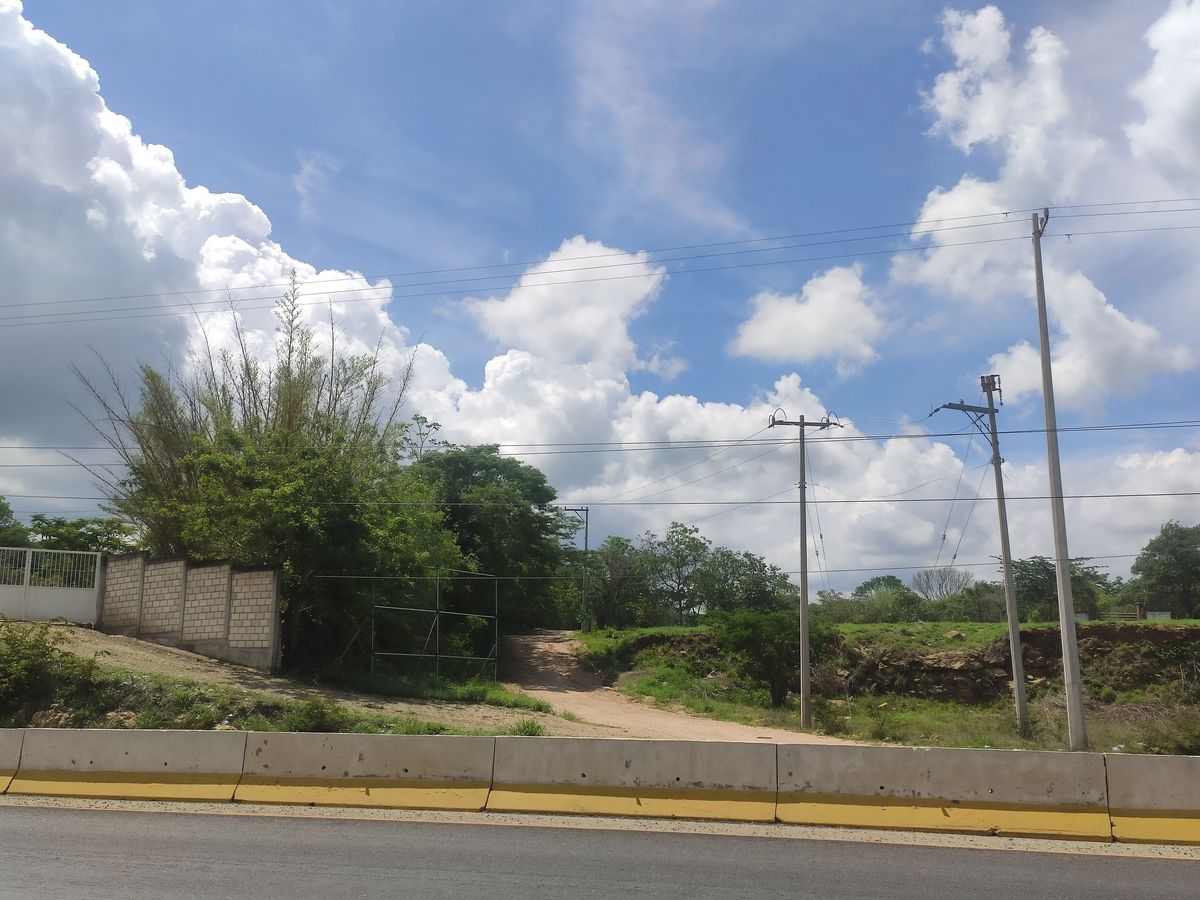 2 de 6