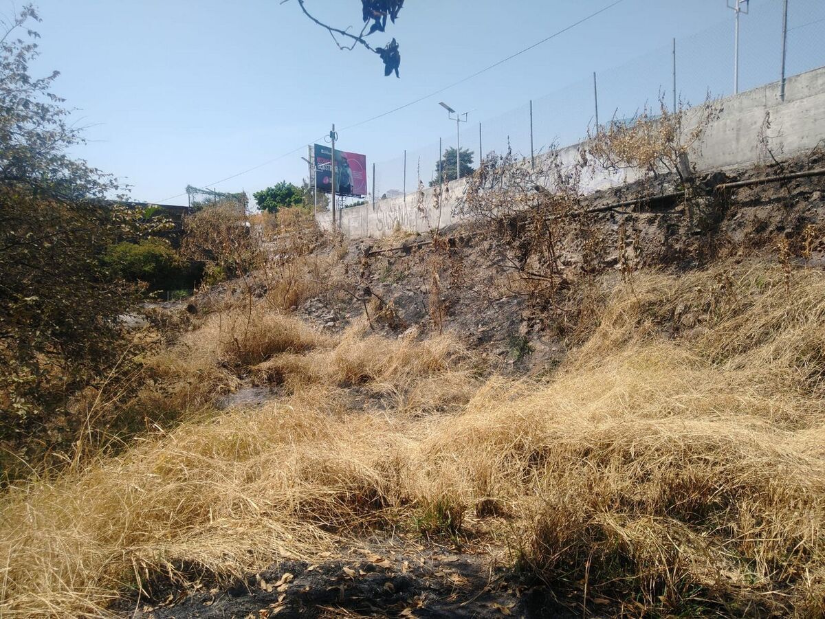 3 de 11