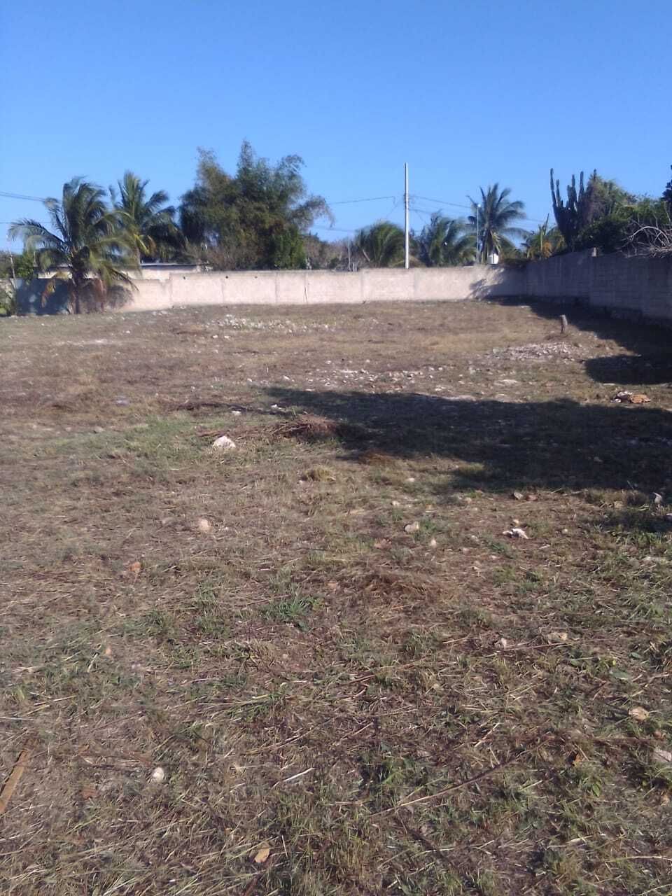6 de 7