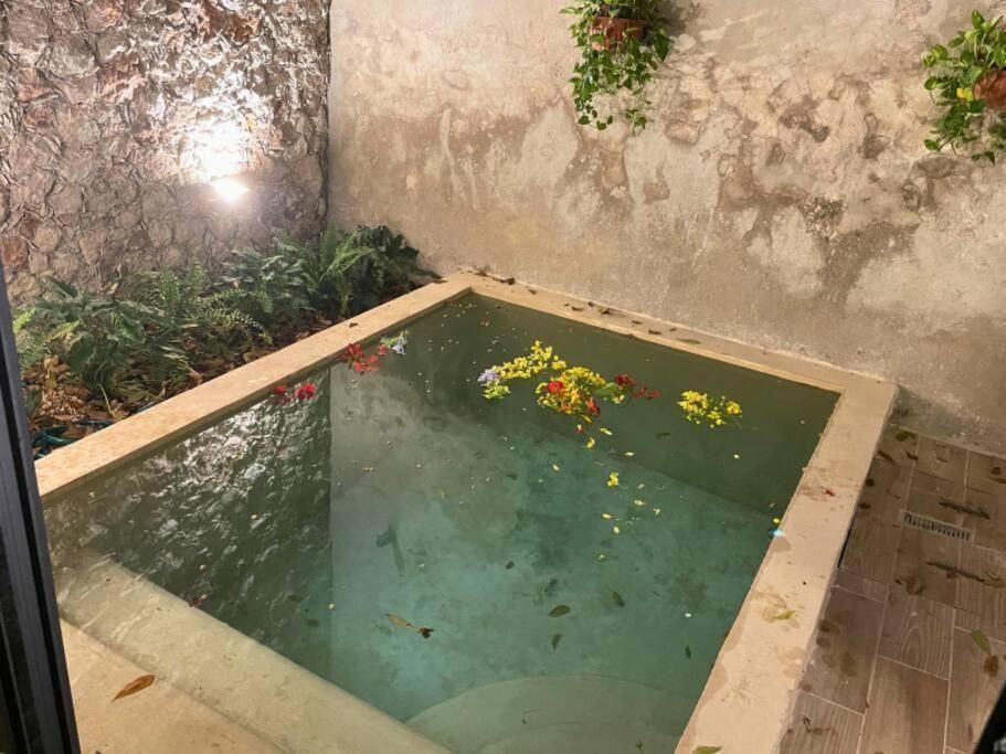 15 de 16