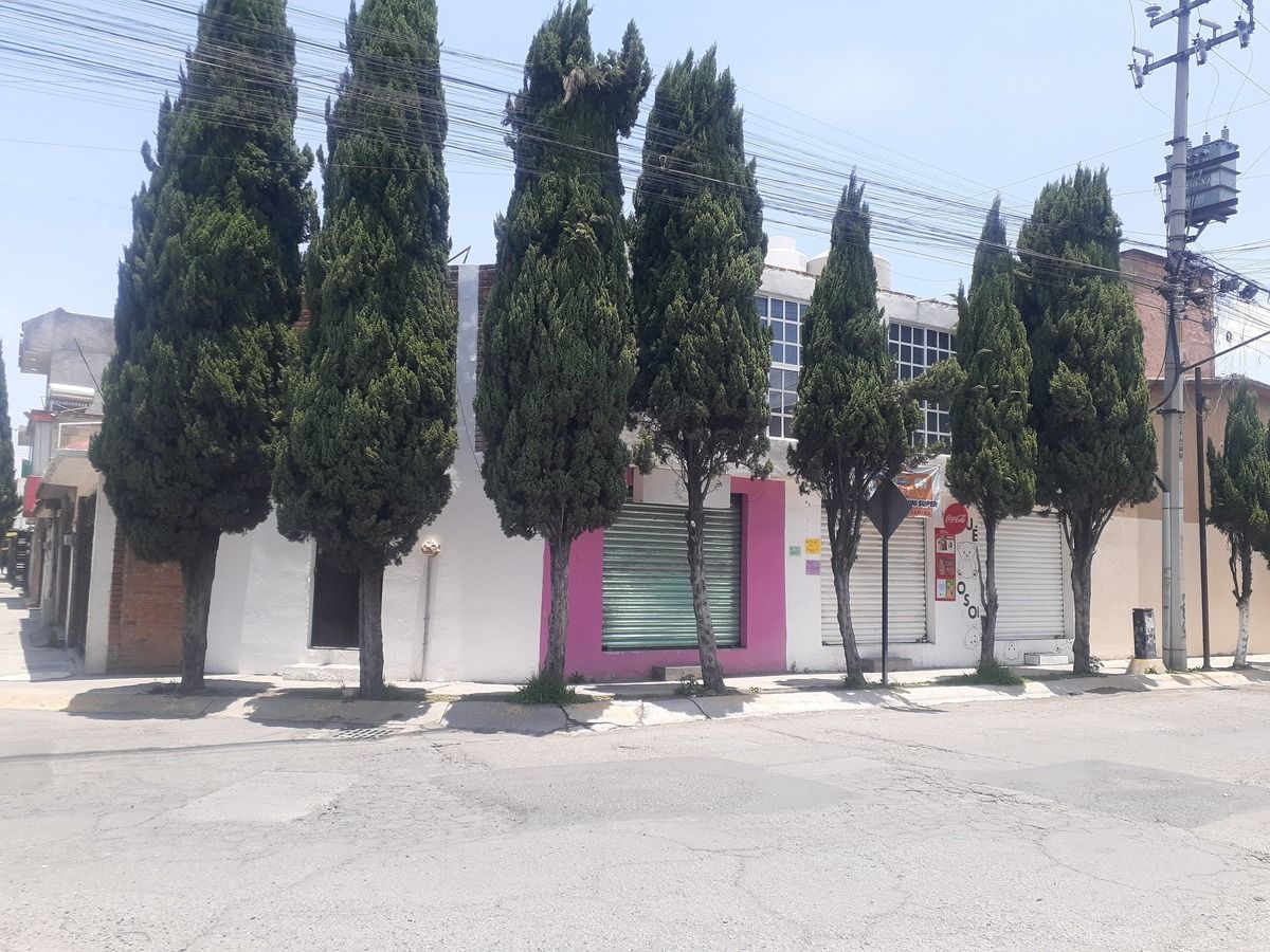 2 de 13