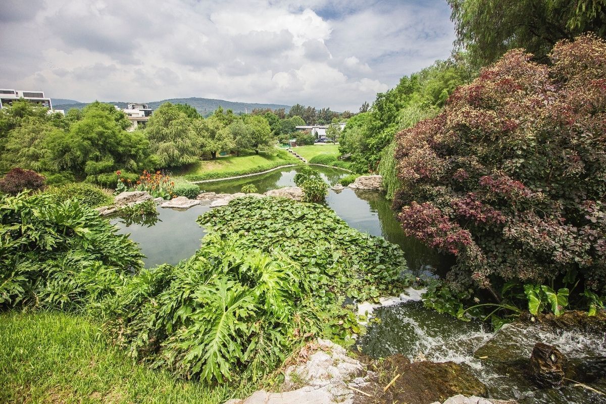8 de 31: Terreno residencial Vista a la primavera en Los Sueños