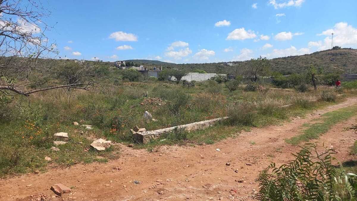 2 de 8