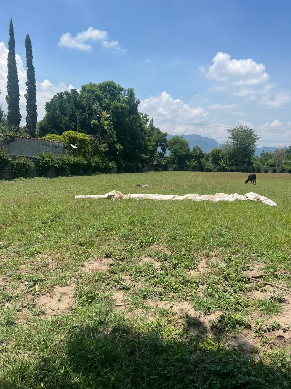 9 de 14