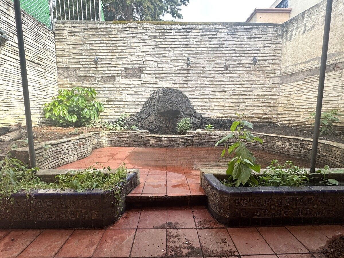 6 de 34: Jardin trasero