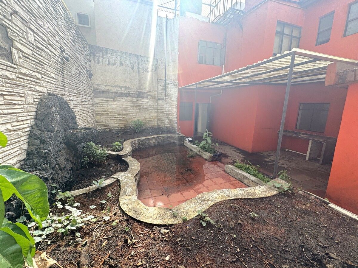7 de 34: Jardin trasero
