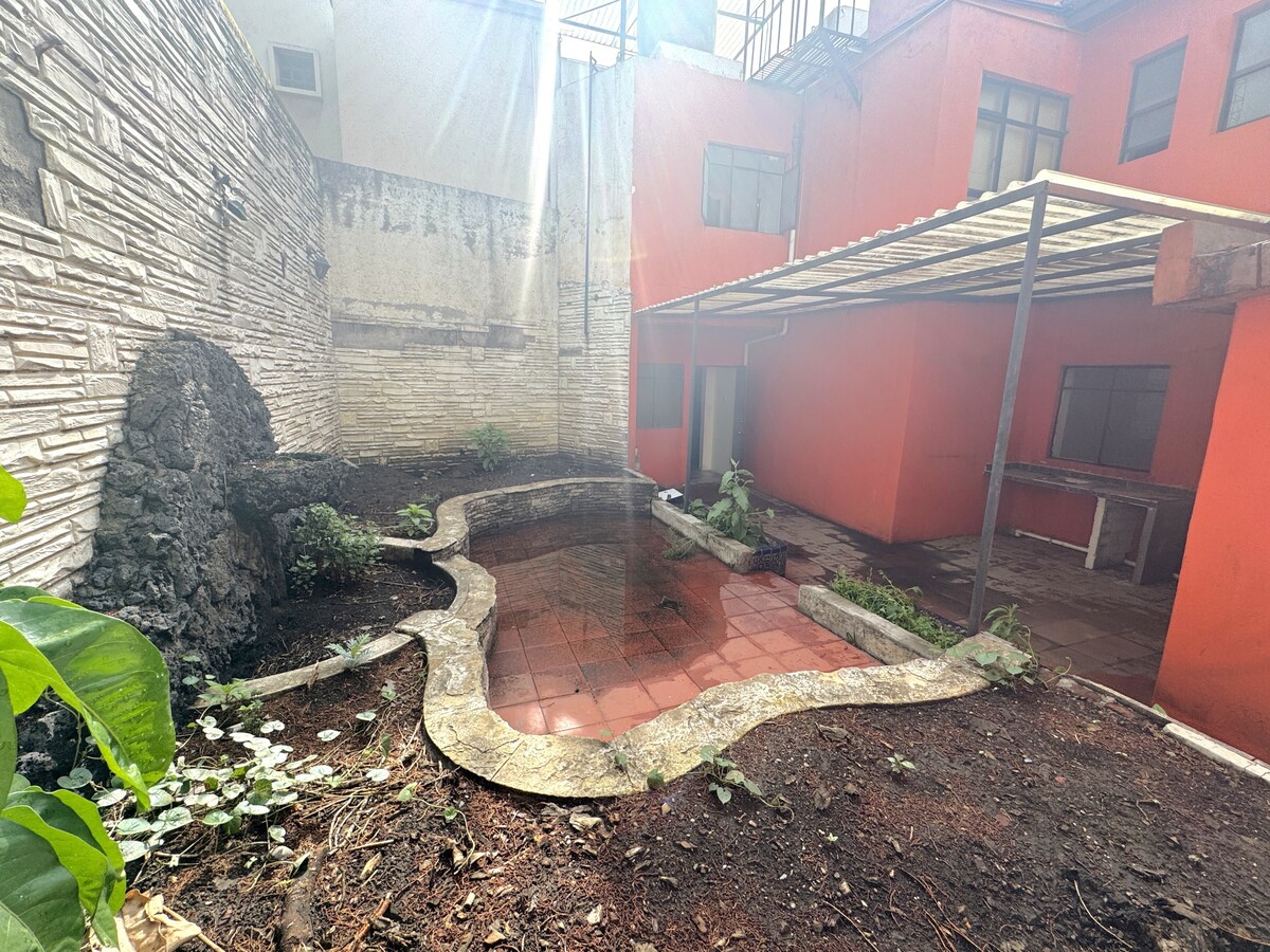 7 de 34: Jardin trasero