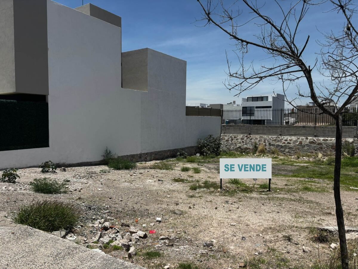 4 de 12