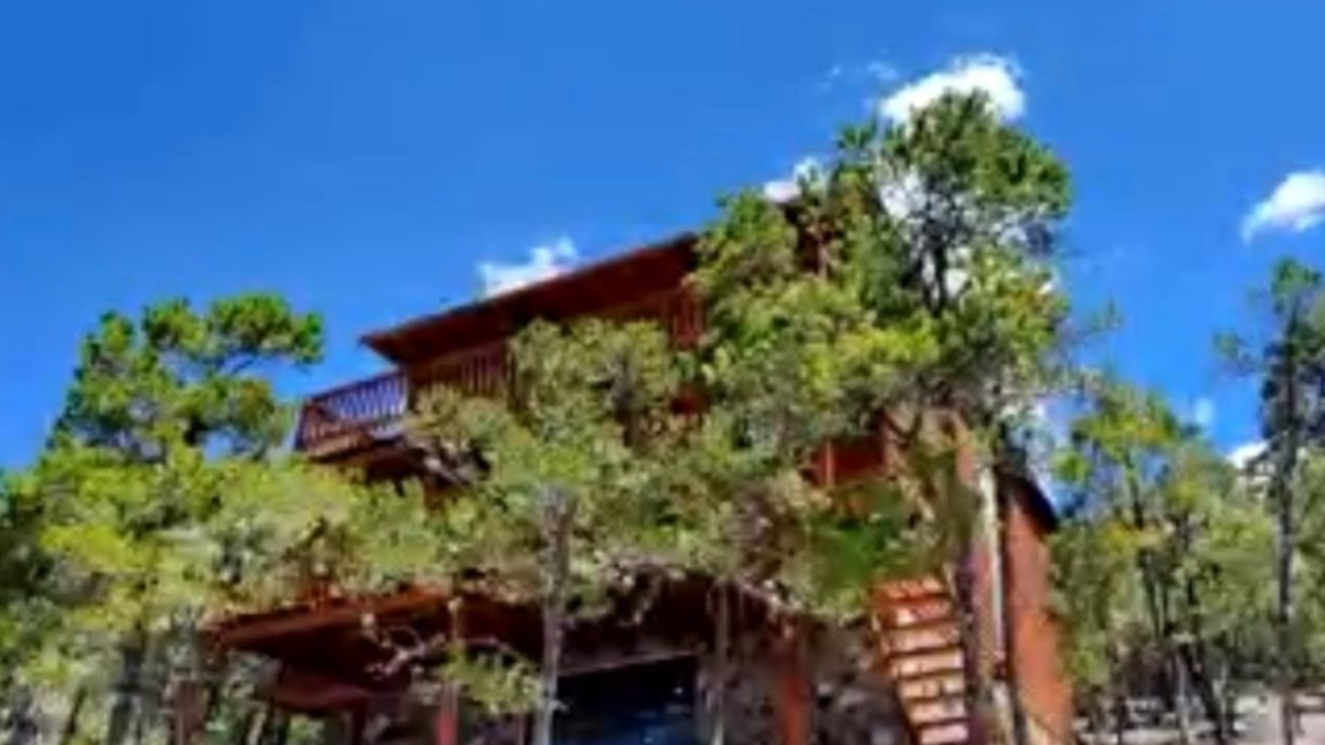 1 de 23