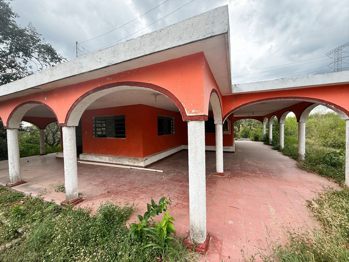 5 de 16