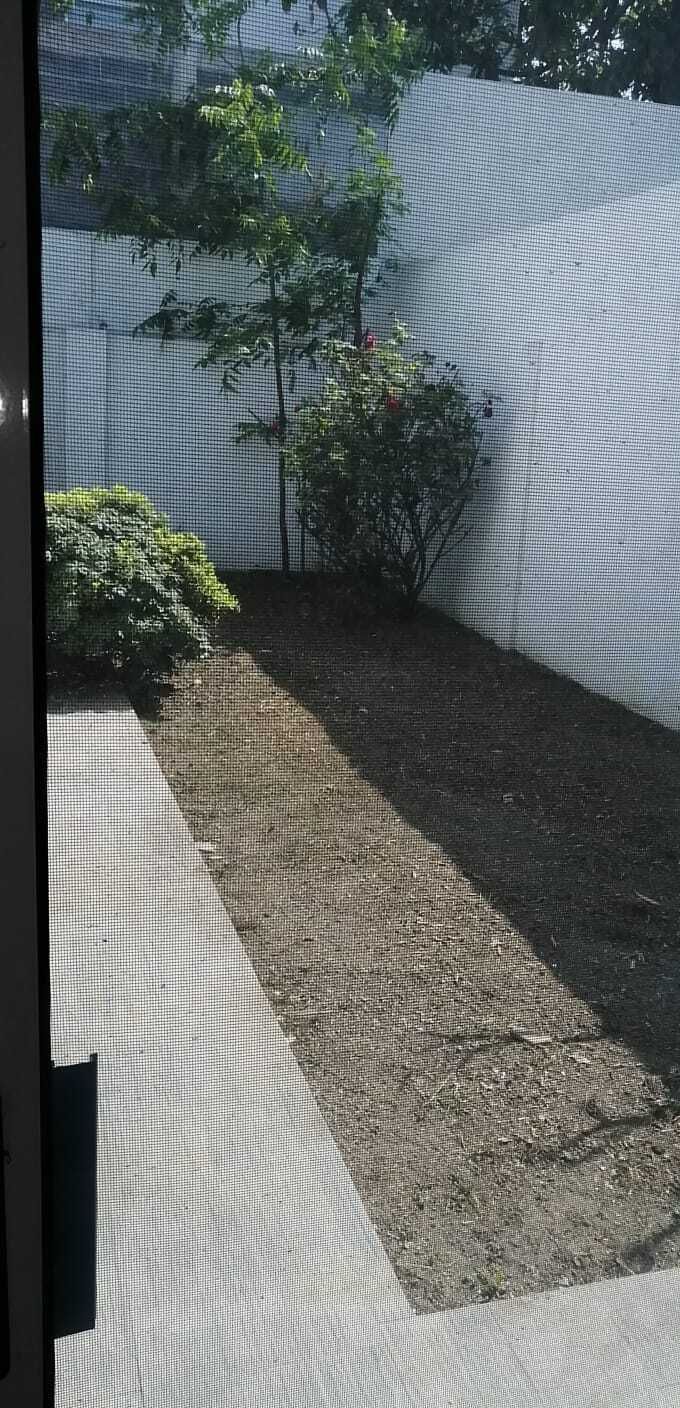 28 de 29