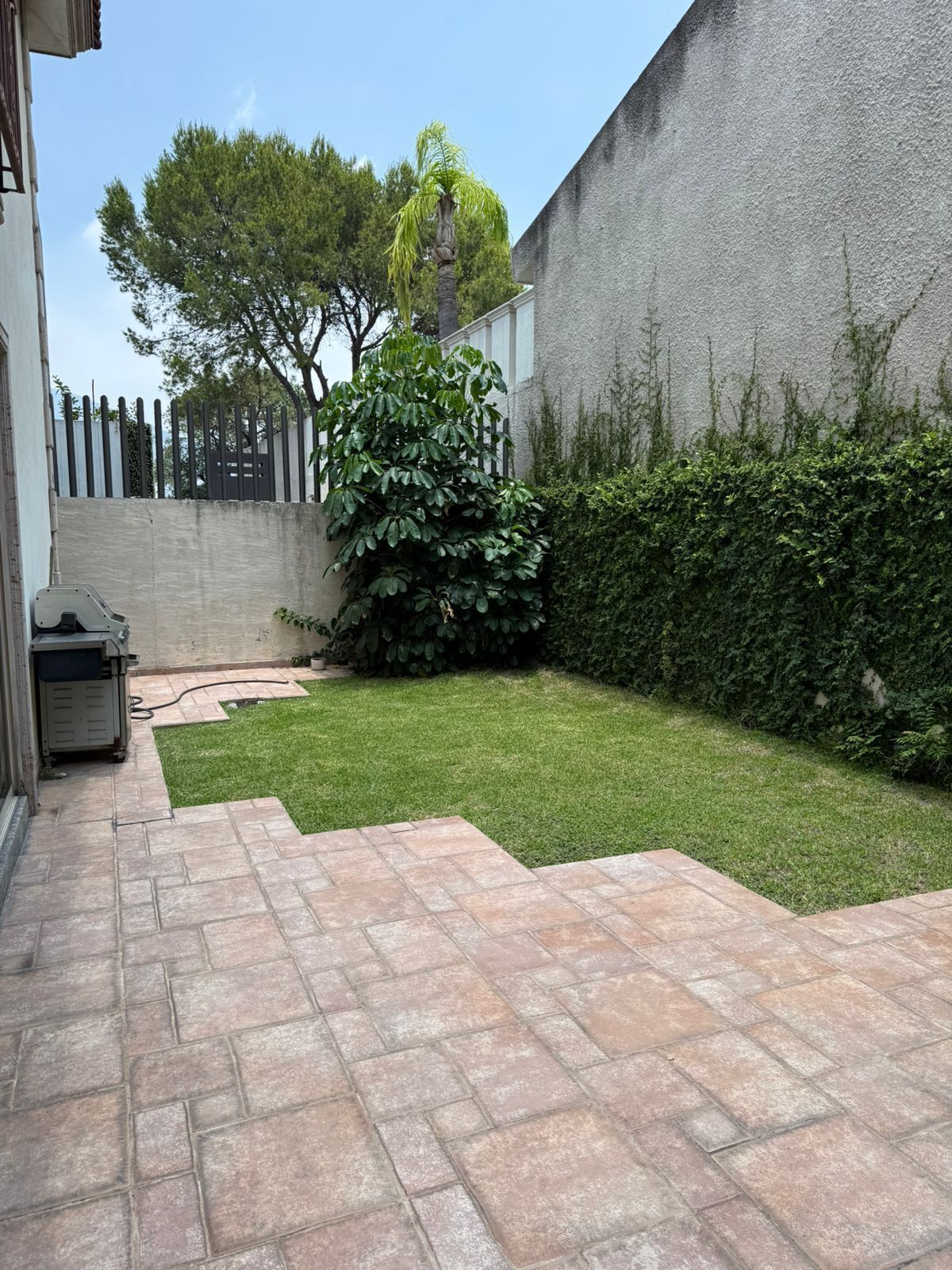 5 de 20