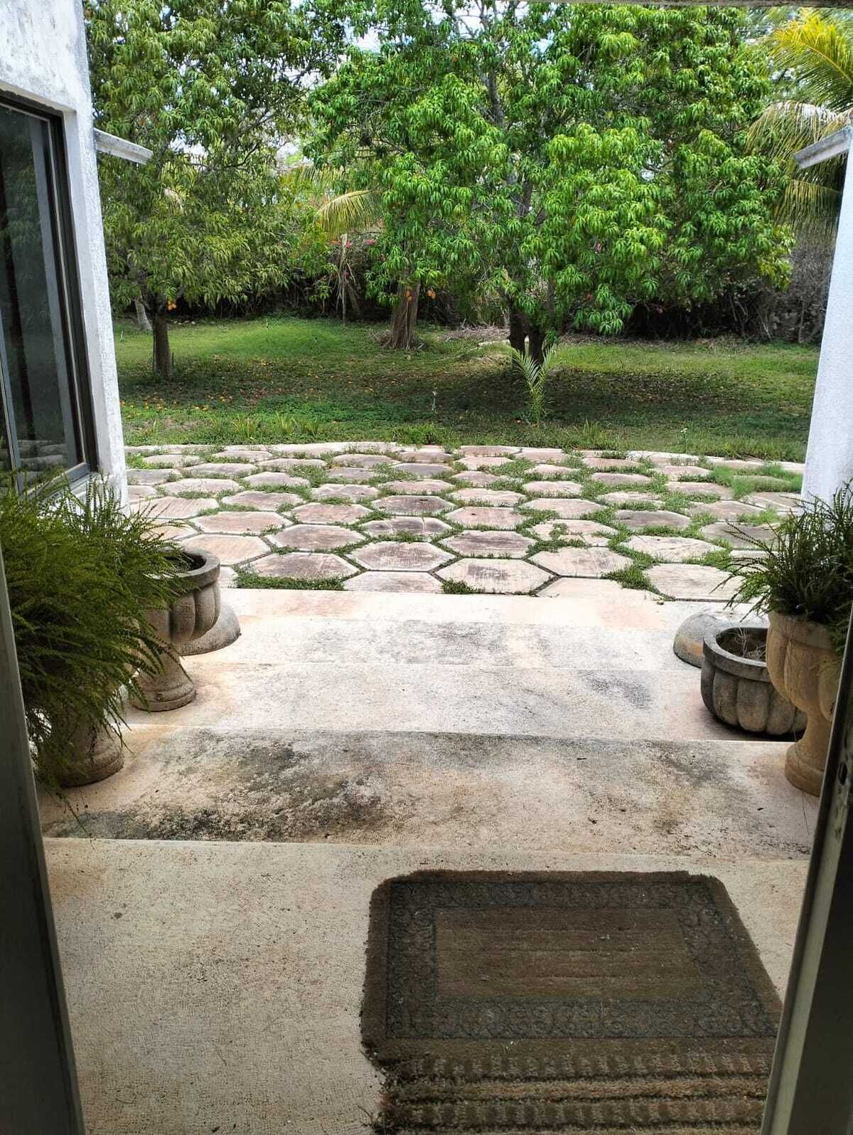 19 de 27