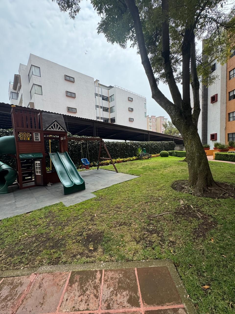 6 de 18