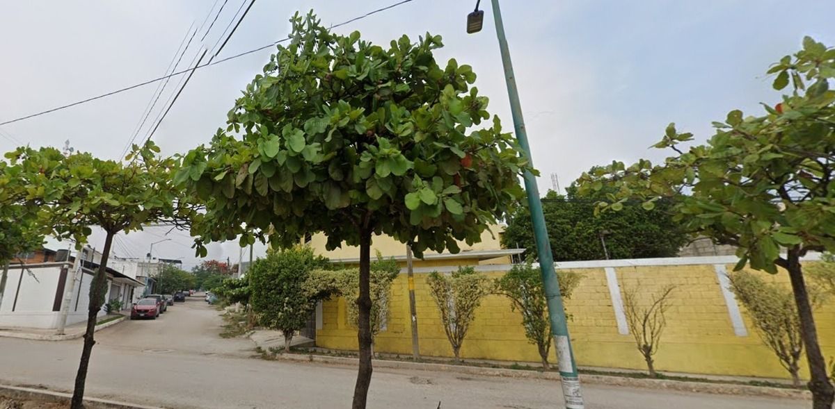 2 de 4