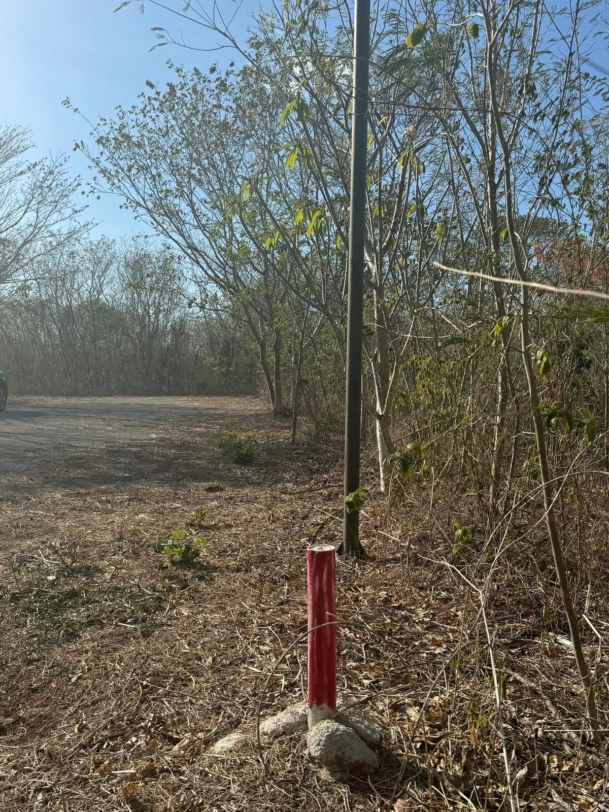 4 de 6