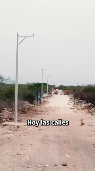 5 de 7
