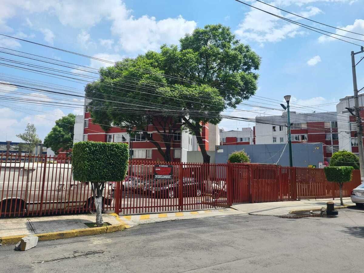 5 de 6
