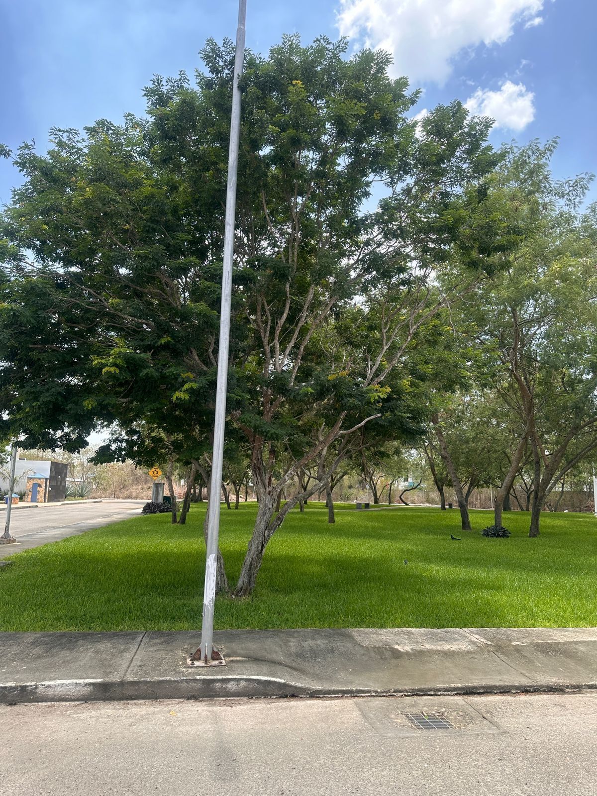 4 de 9