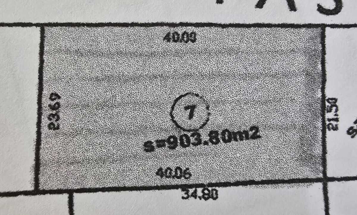 5 de 7