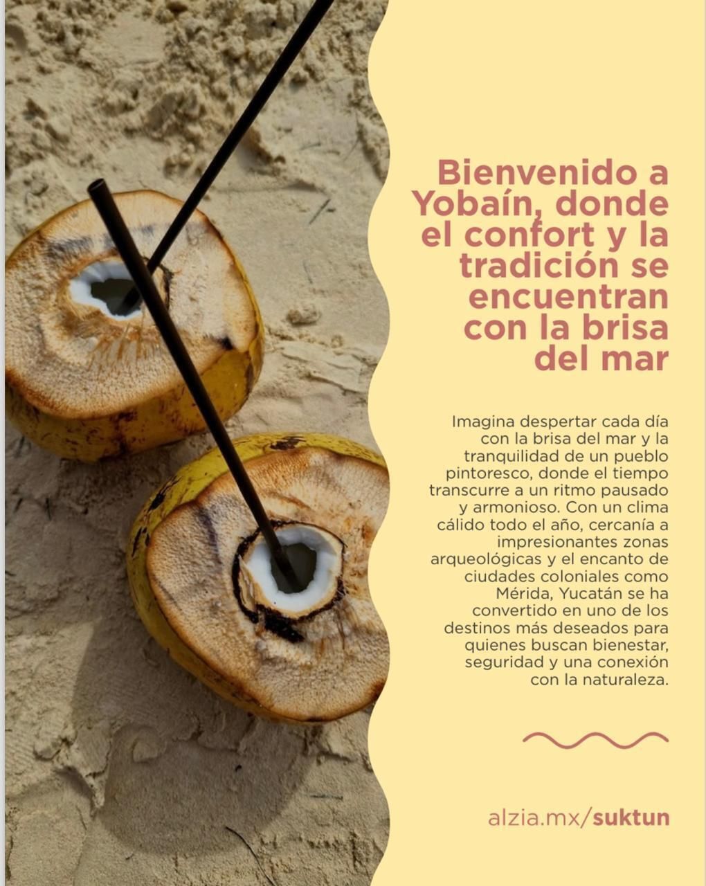 Imagen 4 de 4