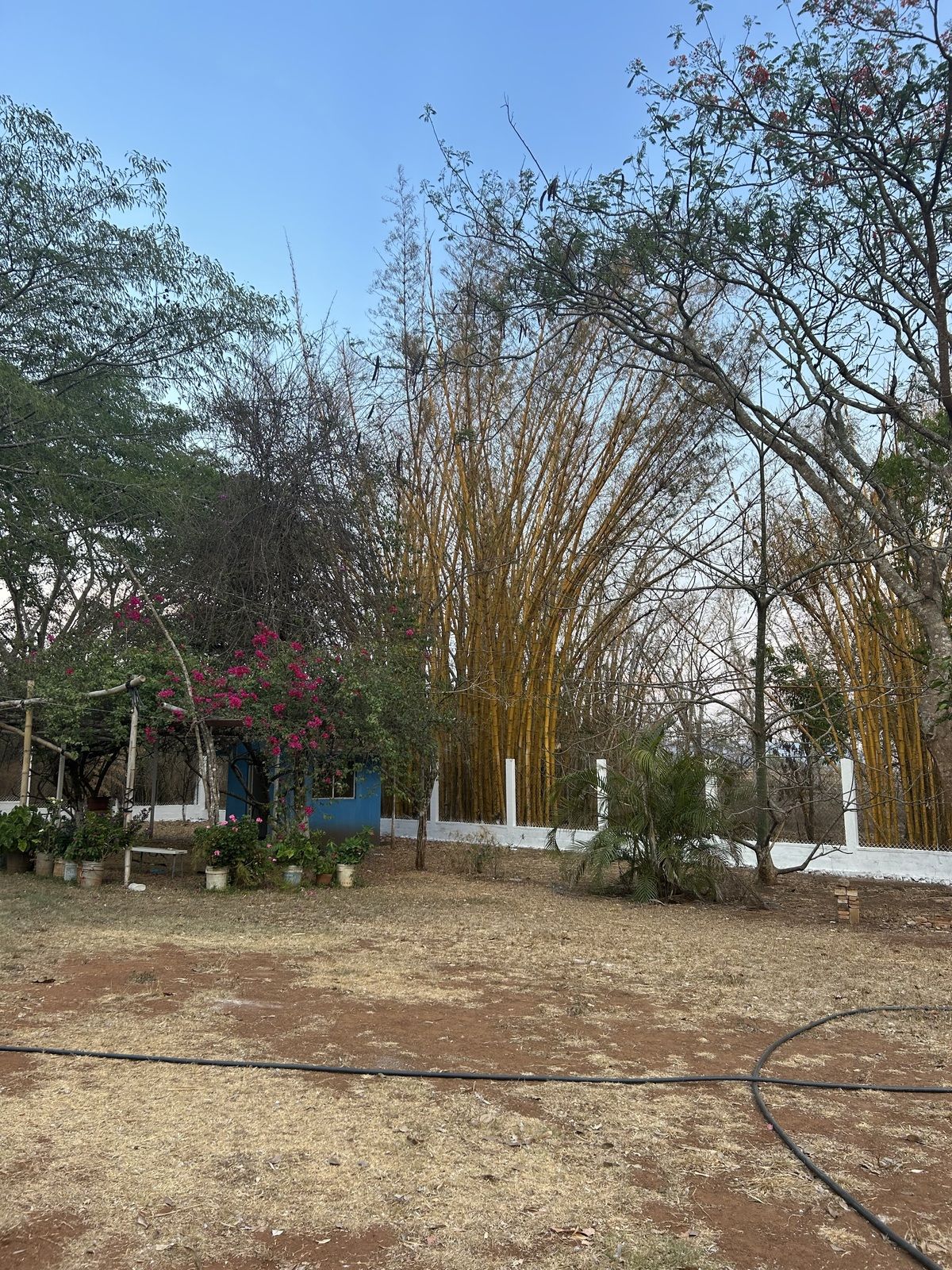 5 de 23