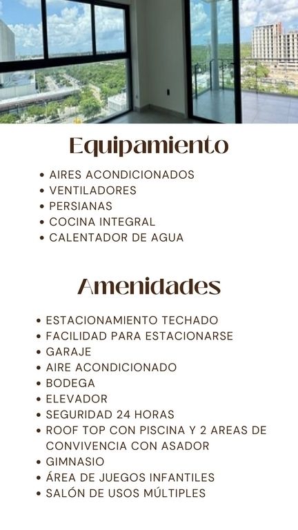 3 de 6