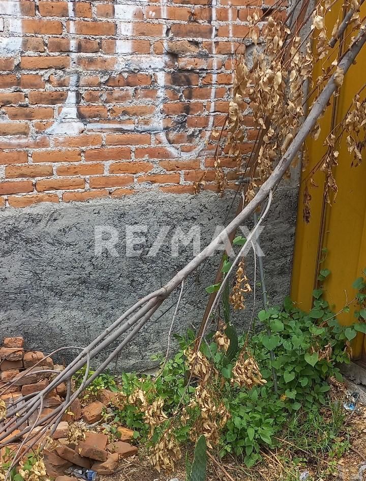 3 de 5