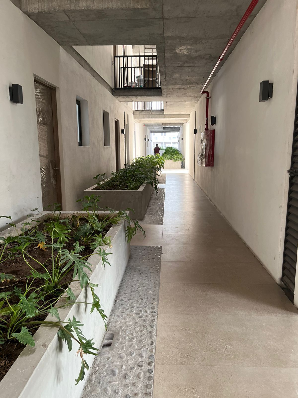 3 de 24: pasillos